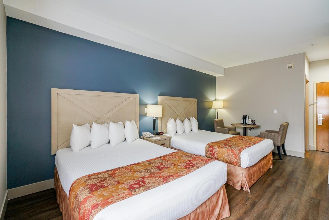 Queen Room with Two Queen Beds - Non-Smoking