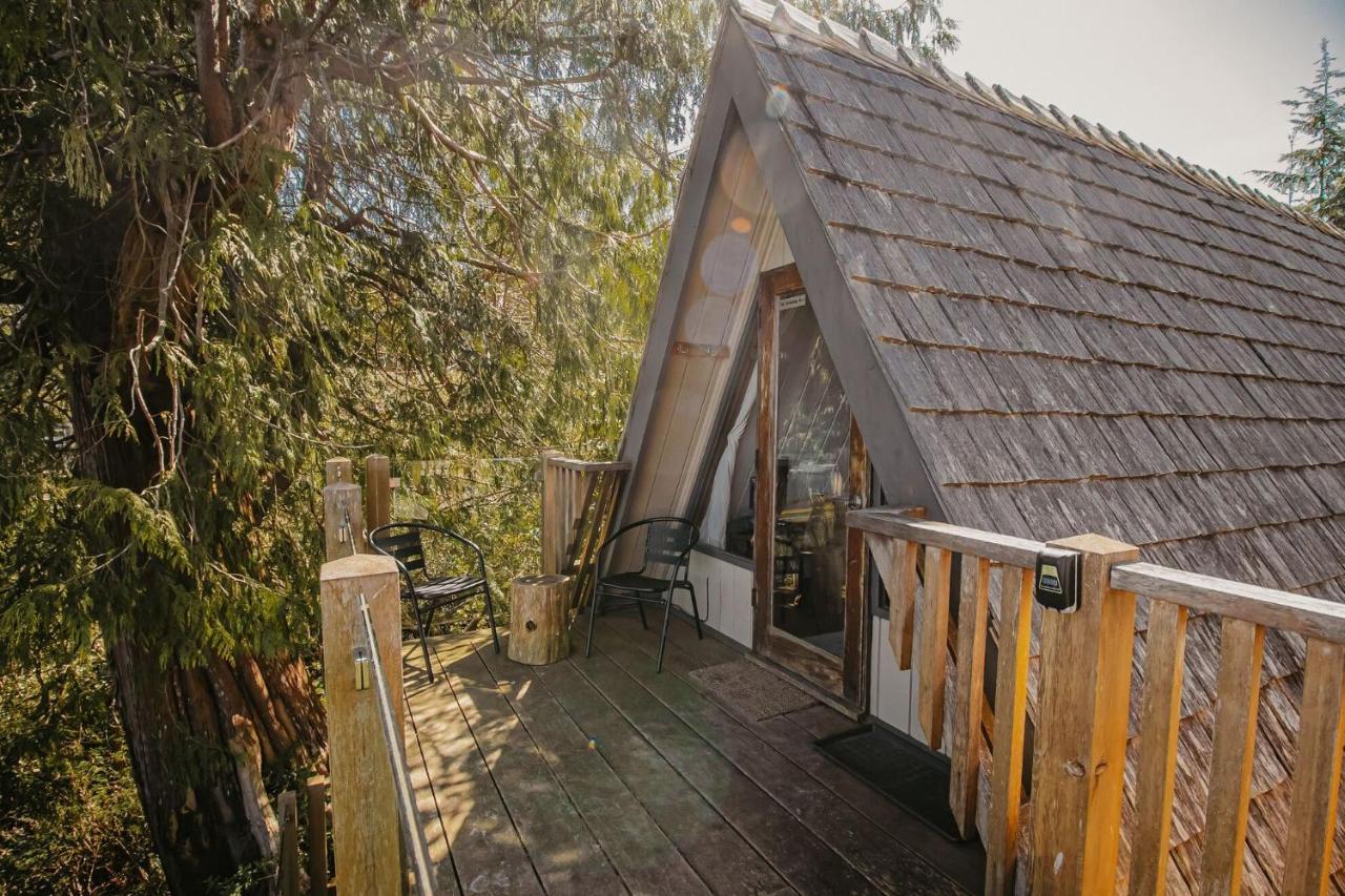 Cabin Suite 3 Not Pet Friendly