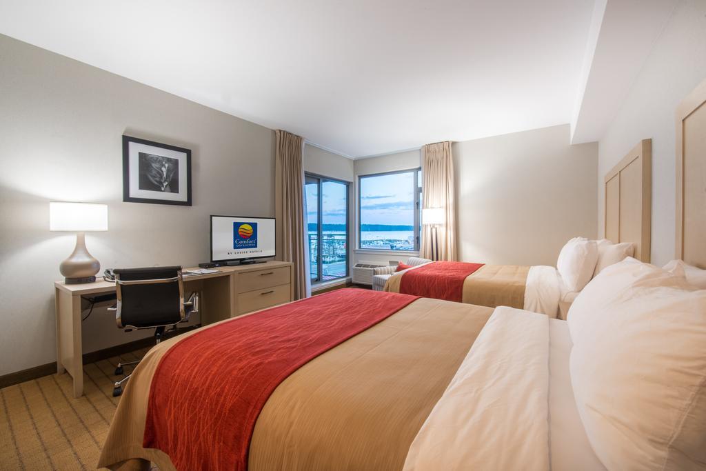 Deluxe Queen Room with Two Queen Beds and Ocean View,142677504:JPEG