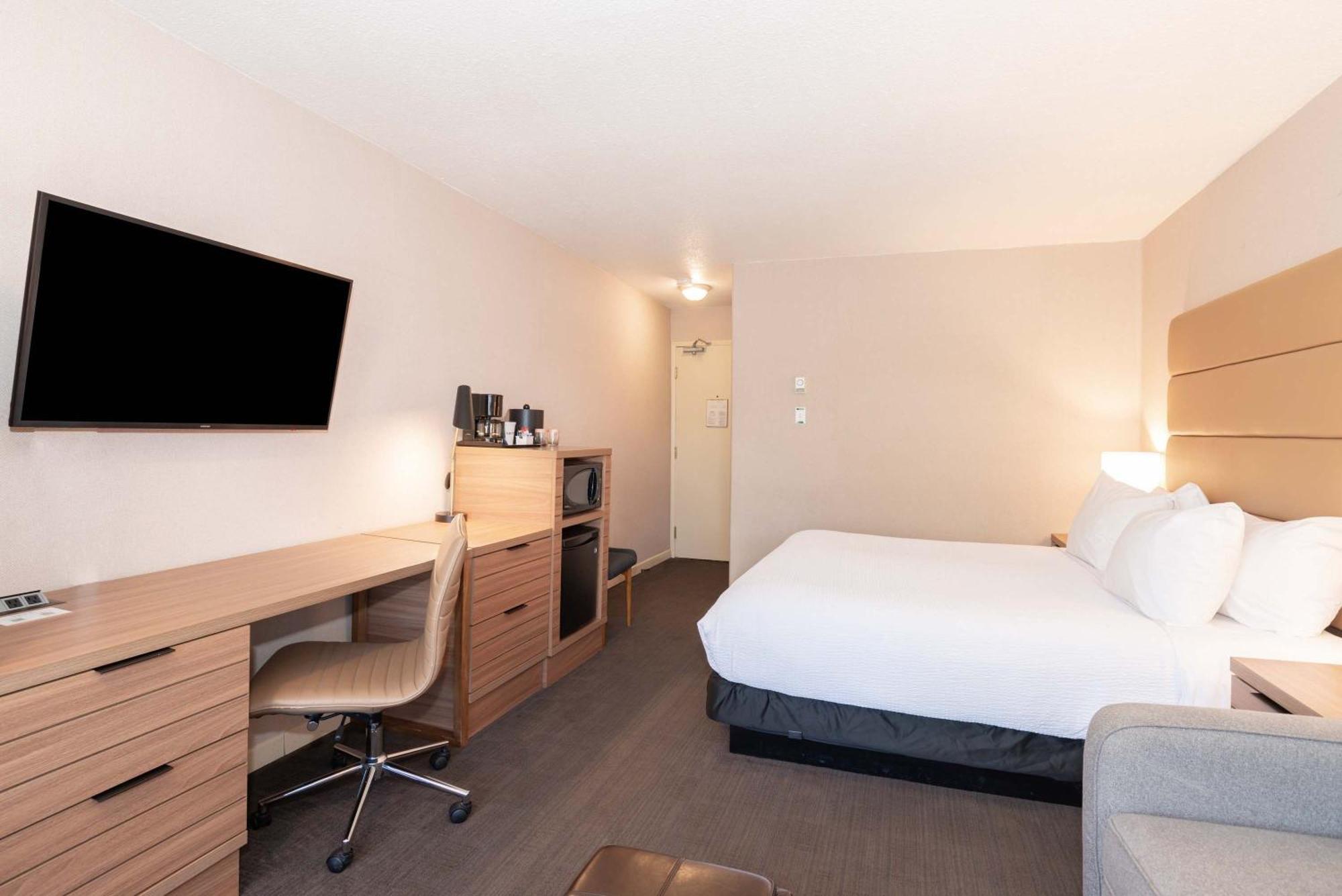 Standard Room, 1 King Bed, Sofa Bed