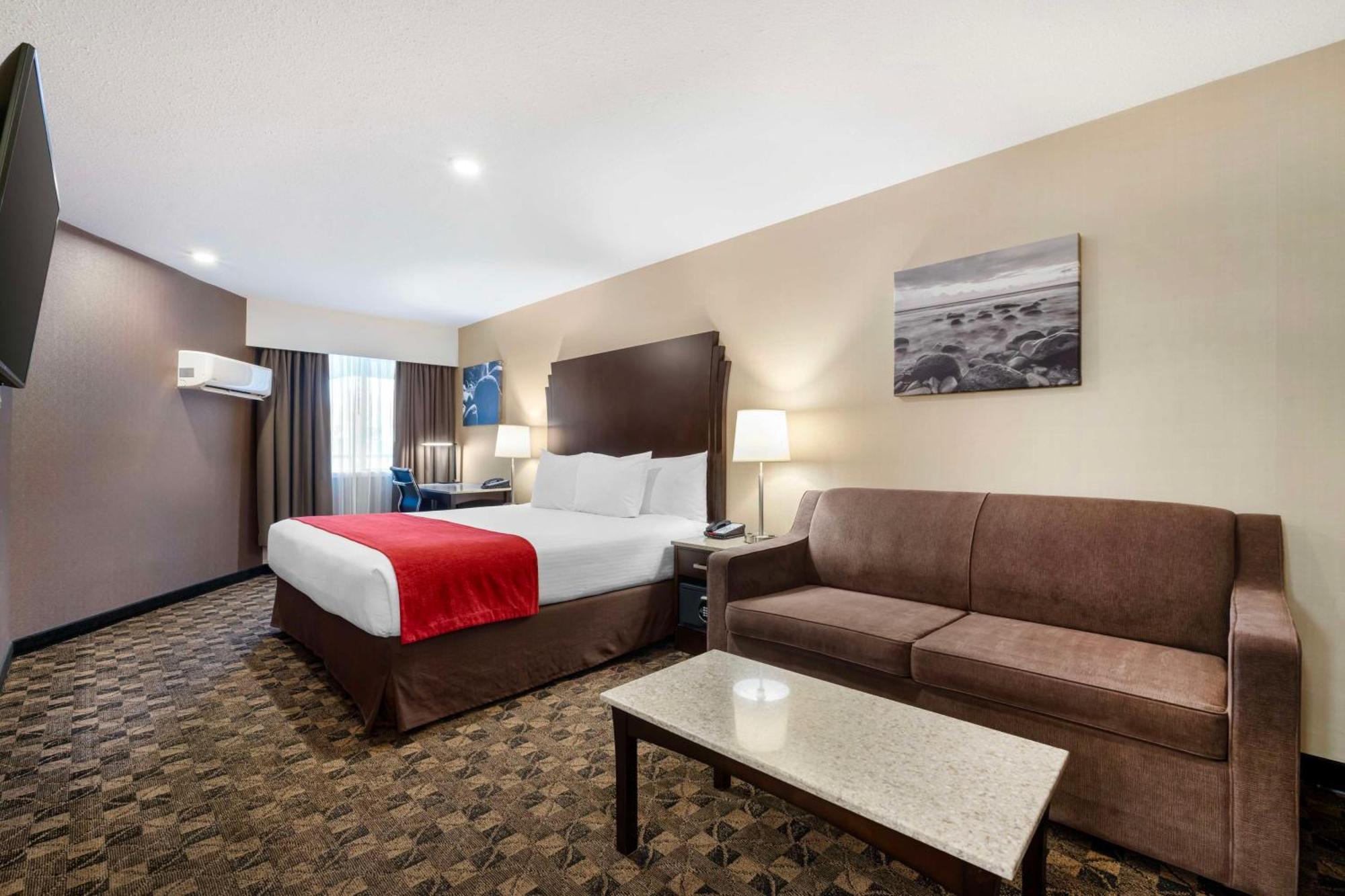 King Room Sofa Bed Kitchenette