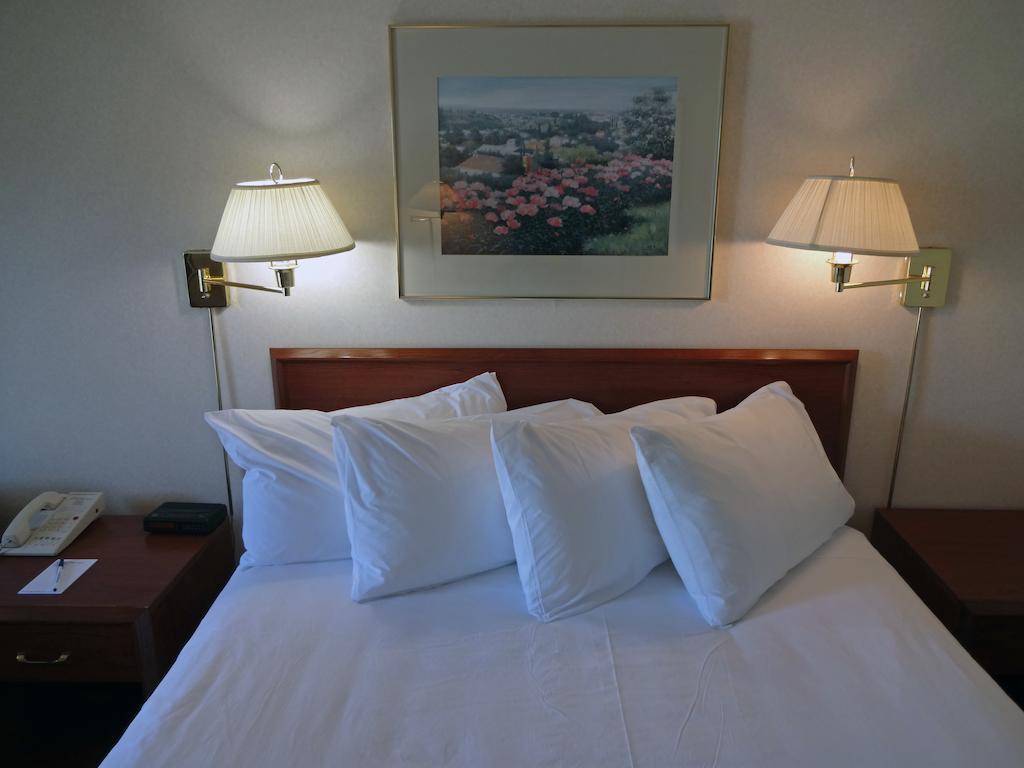 Standard Queen Room,286150349:JPEG