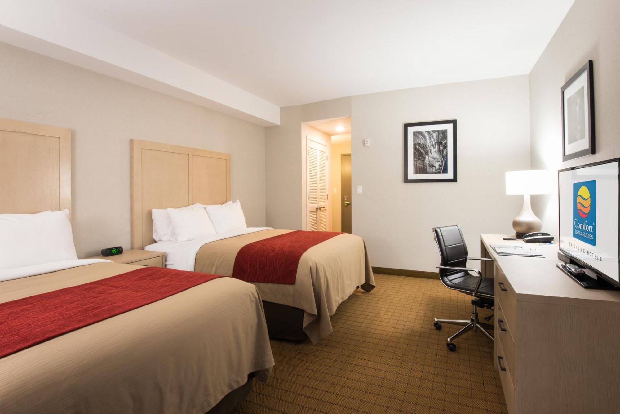 Standard Queen Room with Two Queen Beds,705114667:JPEG