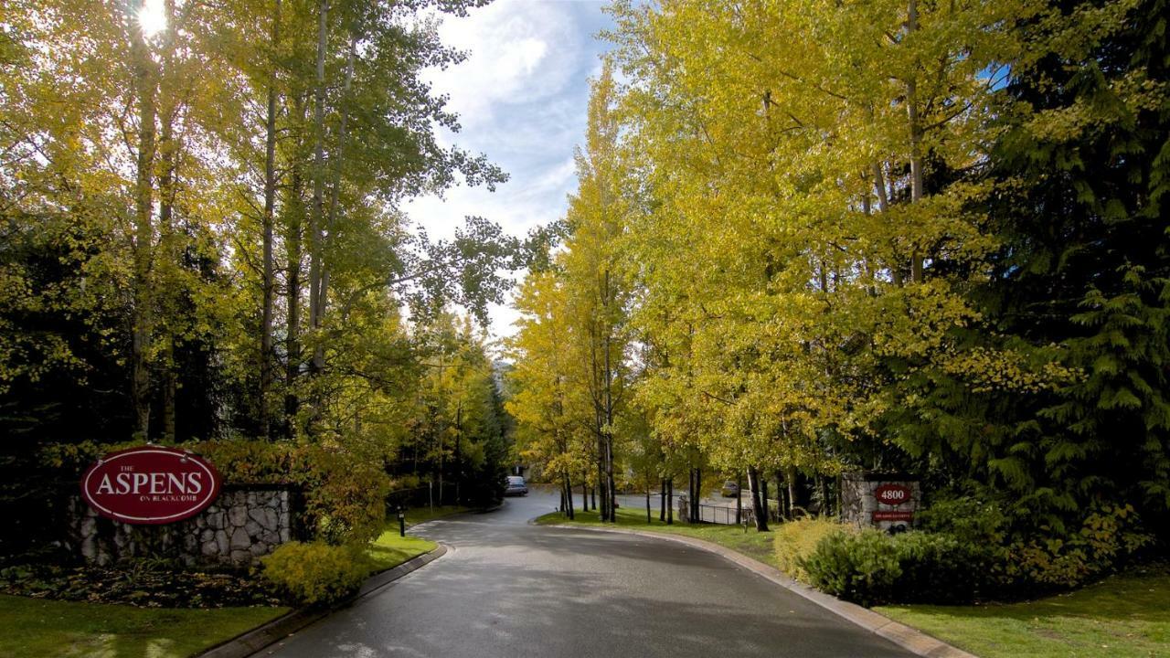 One-Bedroom Apartment,894625282:JPEG