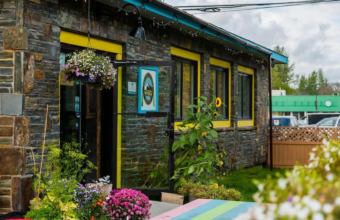 Dreamcatcher Hostel-1