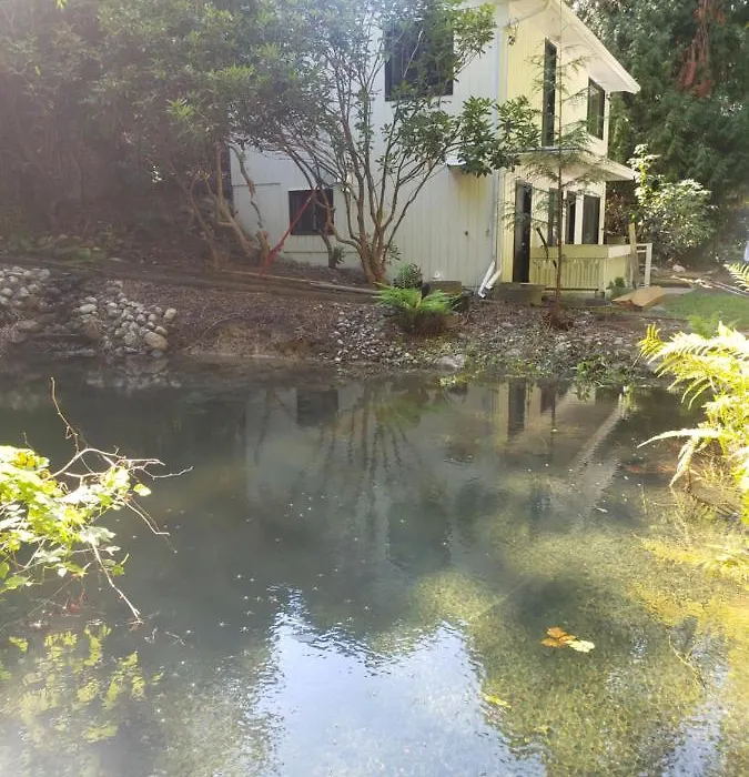 Cedar Pond-1