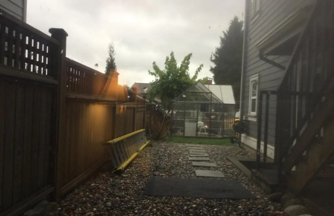 Lisa'S Home-1