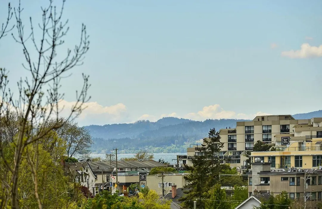 James Bay Studio Stay-1