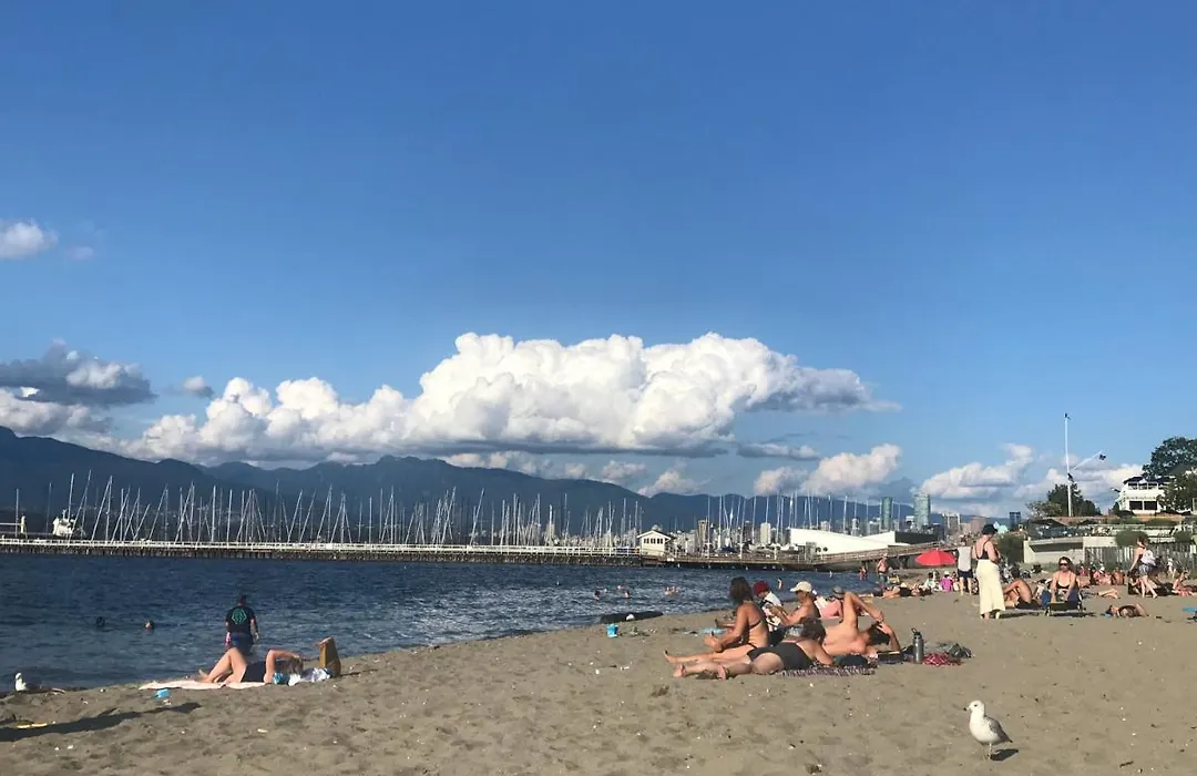 Walk Distance To Kits Beach 2Bedrooms Only For You-1