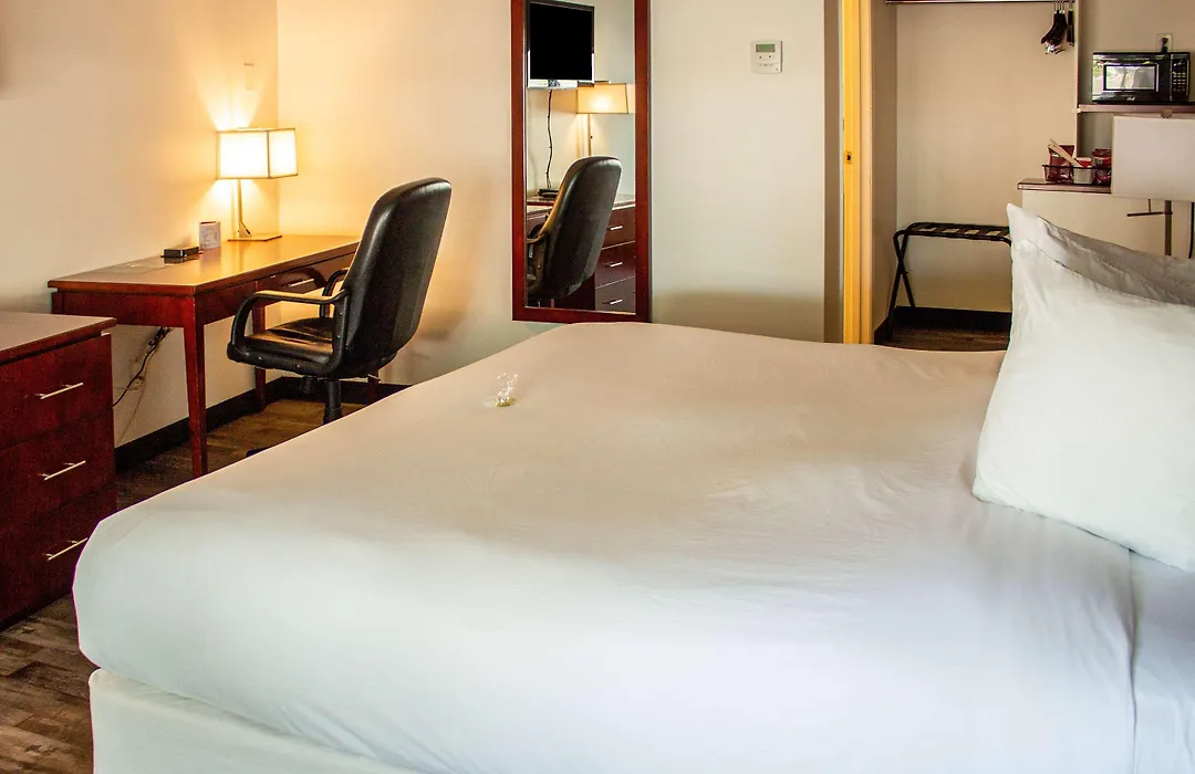 Comfort Inn & Suites-1