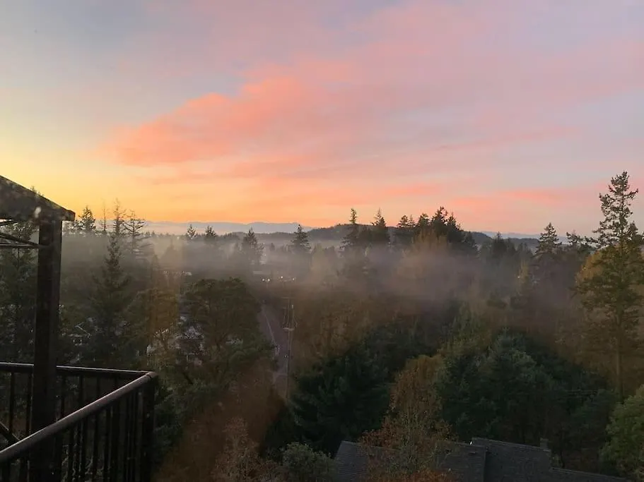 What A View!-1