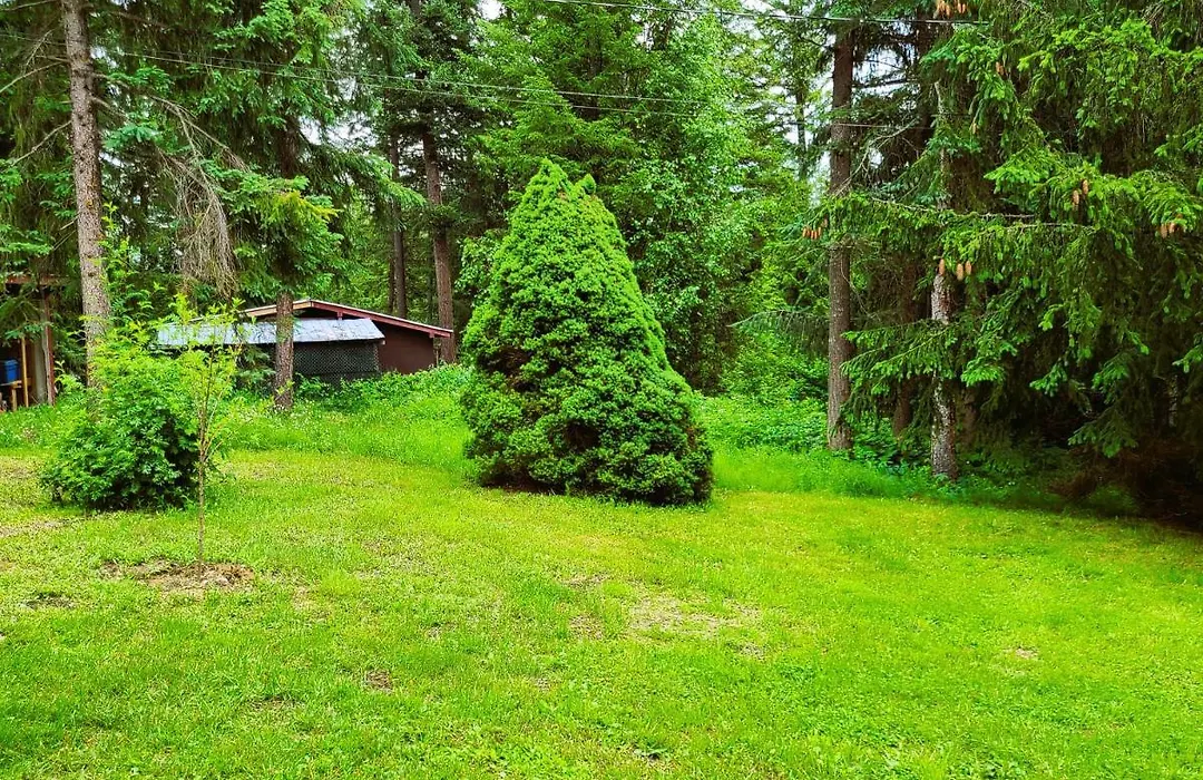 Woodcrest Bed And Breakfast-1