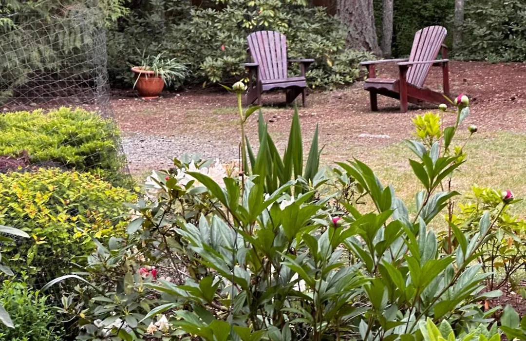 Cedar Song B&B-1