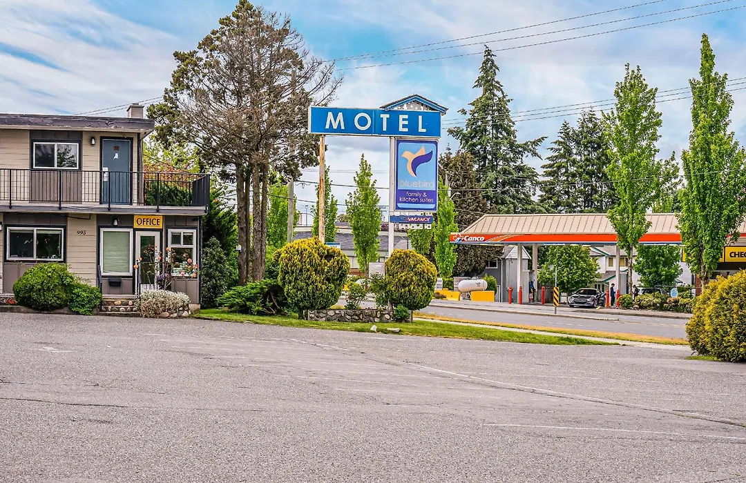 Bluebird Motel-1
