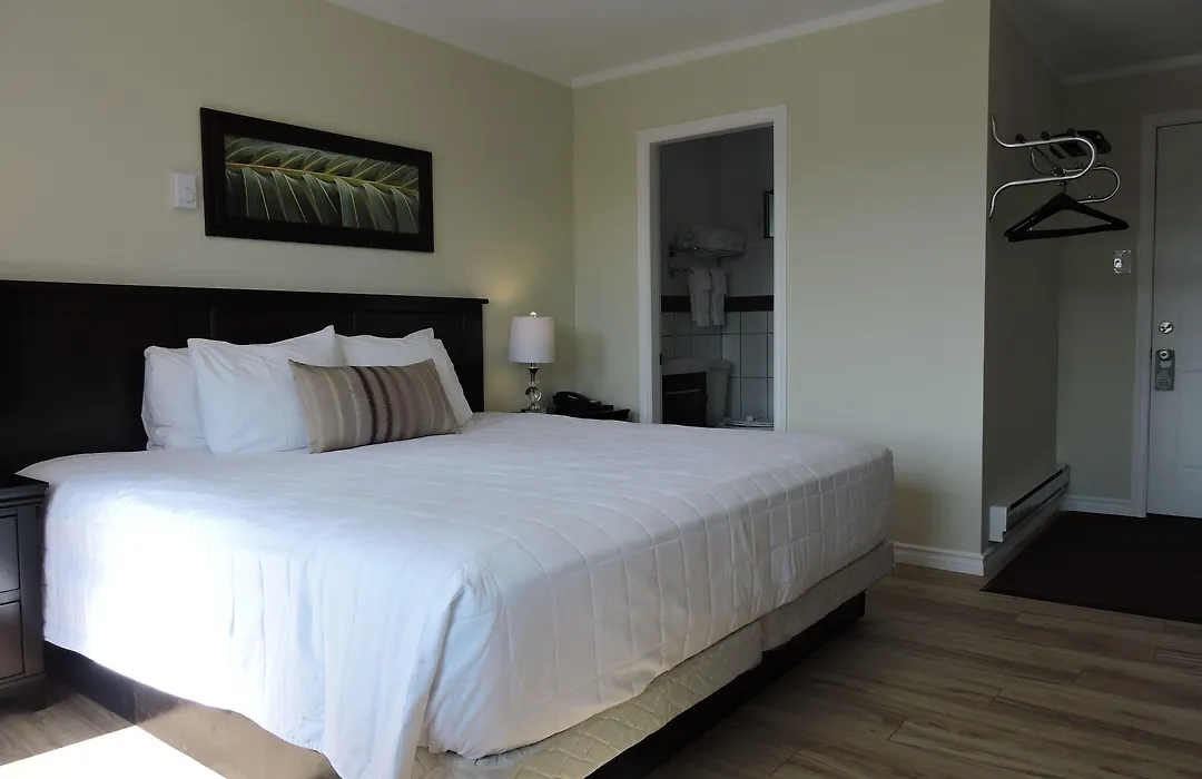 Almo Court Motel-1