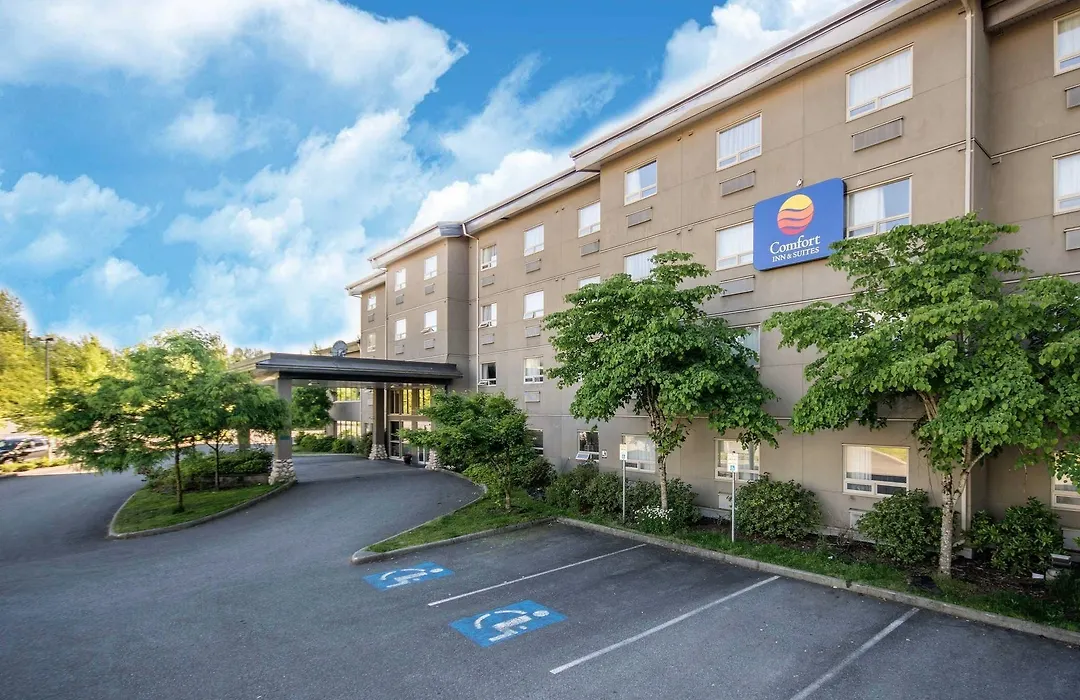 Comfort Inn & Suites-1