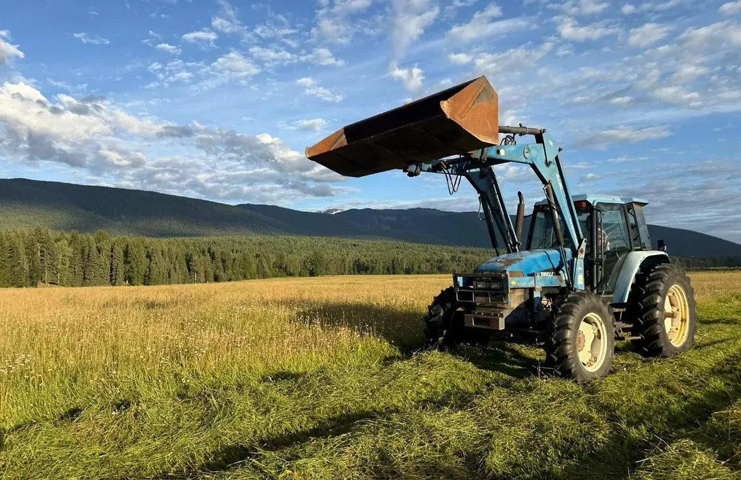 Nakiska Bear Ranch-1