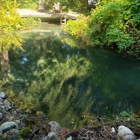 Cedar Pond-2