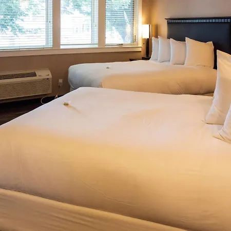 Comfort Inn & Suites-2