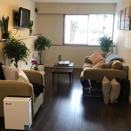 Quiet-Comfy 3 Bedroom House On A Tree Lined Street In Kitsilano-2