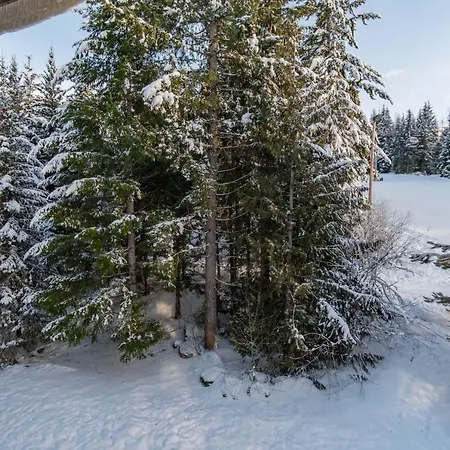 The Best Ski In Ski Out Two Bedroom Condo At Aspens-2