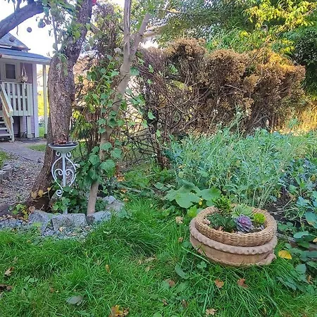 Entire House By Kitsilano Beach; Large Yard-3