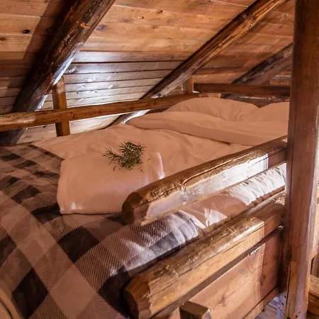 Chute Lake Lodge-3