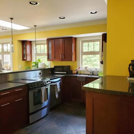 Elegant, Sunny Modern Home With Skylights - Kitsilano, Vancouver-3