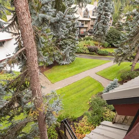Snowberry 20 By Outpost Whistler-3