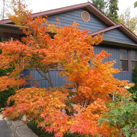 Creekside B&B-3