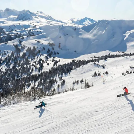 3Br In Alpine Greens, Ski Storage, Wood Burning Fireplace, Free Ski Shuttle-2