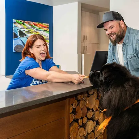 Accent Inns Kelowna-3