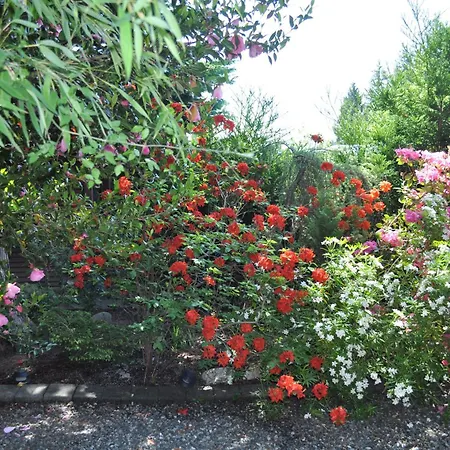 Garden House-2