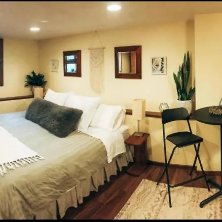 Wildflower Suite-3