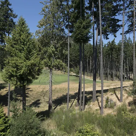 The Westin Bear Mountain Resort & Spa, Victoria-3