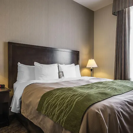 Comfort Inn & Suites-3