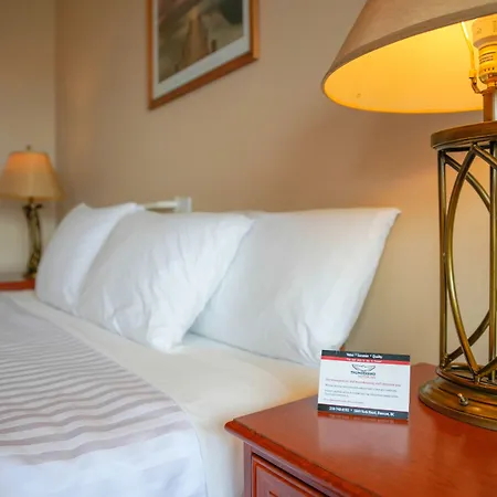 Thunderbird Motor Inn-2