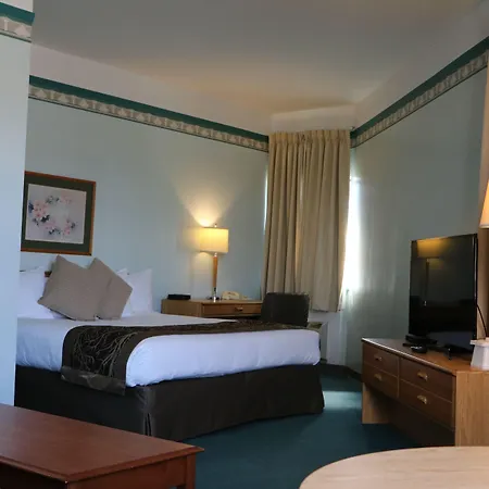 The Cedars Inn Hotel & Convention Centre-3