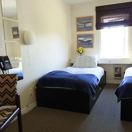 Black Rooster Guesthouse-2