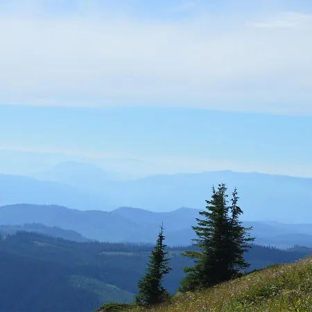 Echo Landing #12 By Bear Country-2