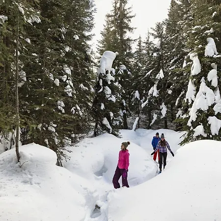 Timberline Village #14-2