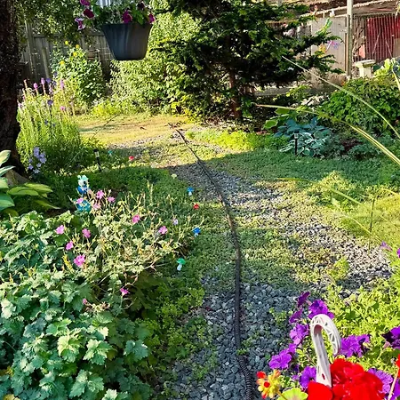 Campbell Cottage B&B-2