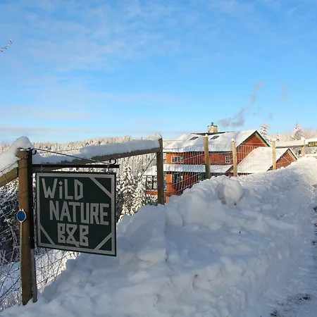 Wild Nature B&B-3