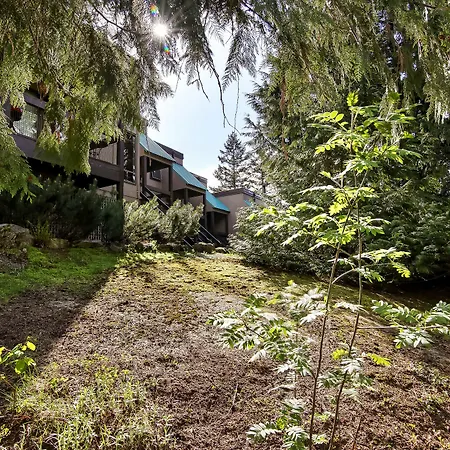 Whiski Jack Creekside-2