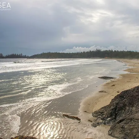 Sounds Of The Sea-3