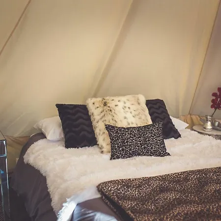 Allure Tent-2