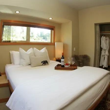 Black Bear Guesthouse-3