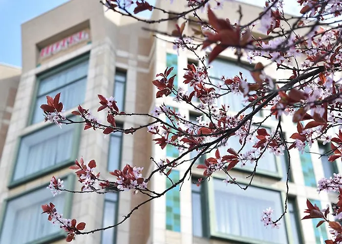 Victoria hotels near Fan Tan Alley