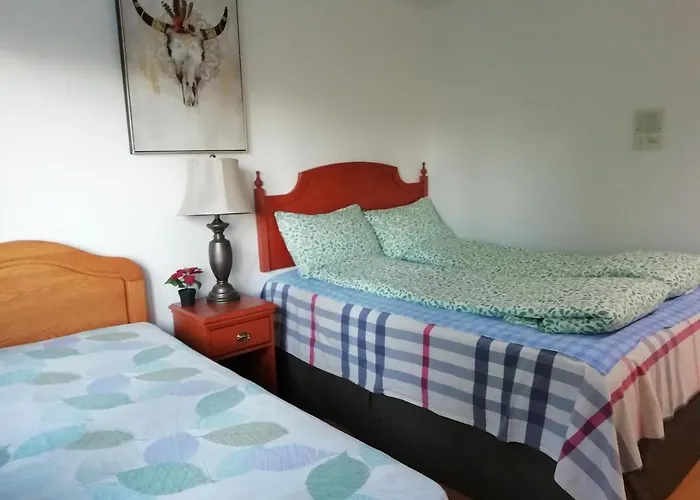 Pet friendly Lido Family Guest House Richmond