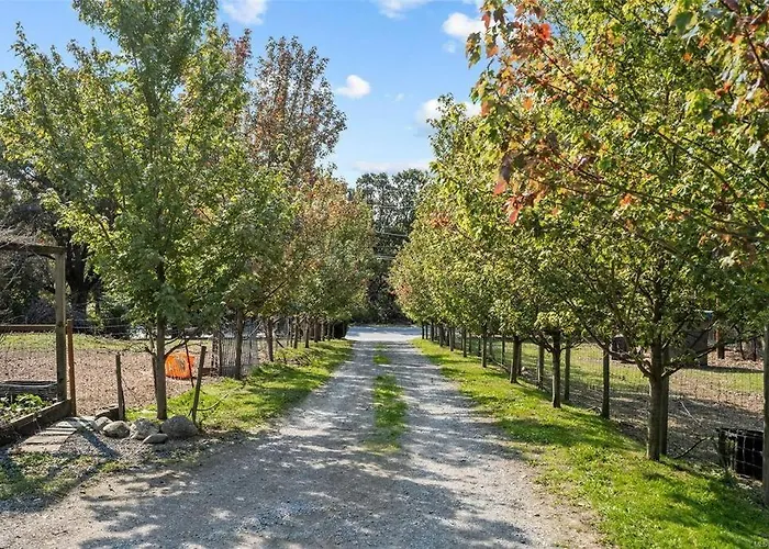 Appartement Urban Oasis With Stream Whole House On 1.3 Acres à Victoria